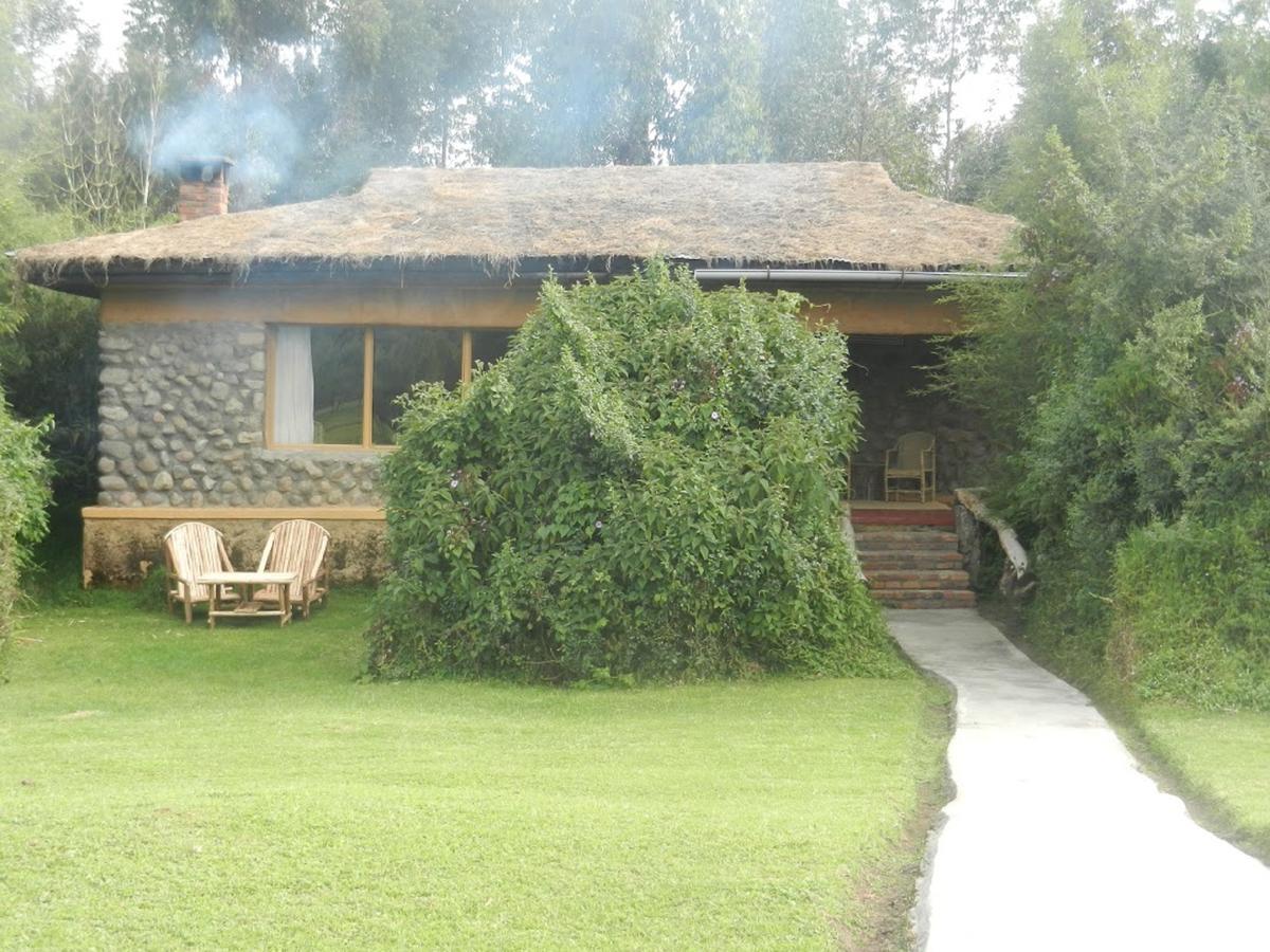 Mountain Gorilla View Lodge Musanze 외부 사진
