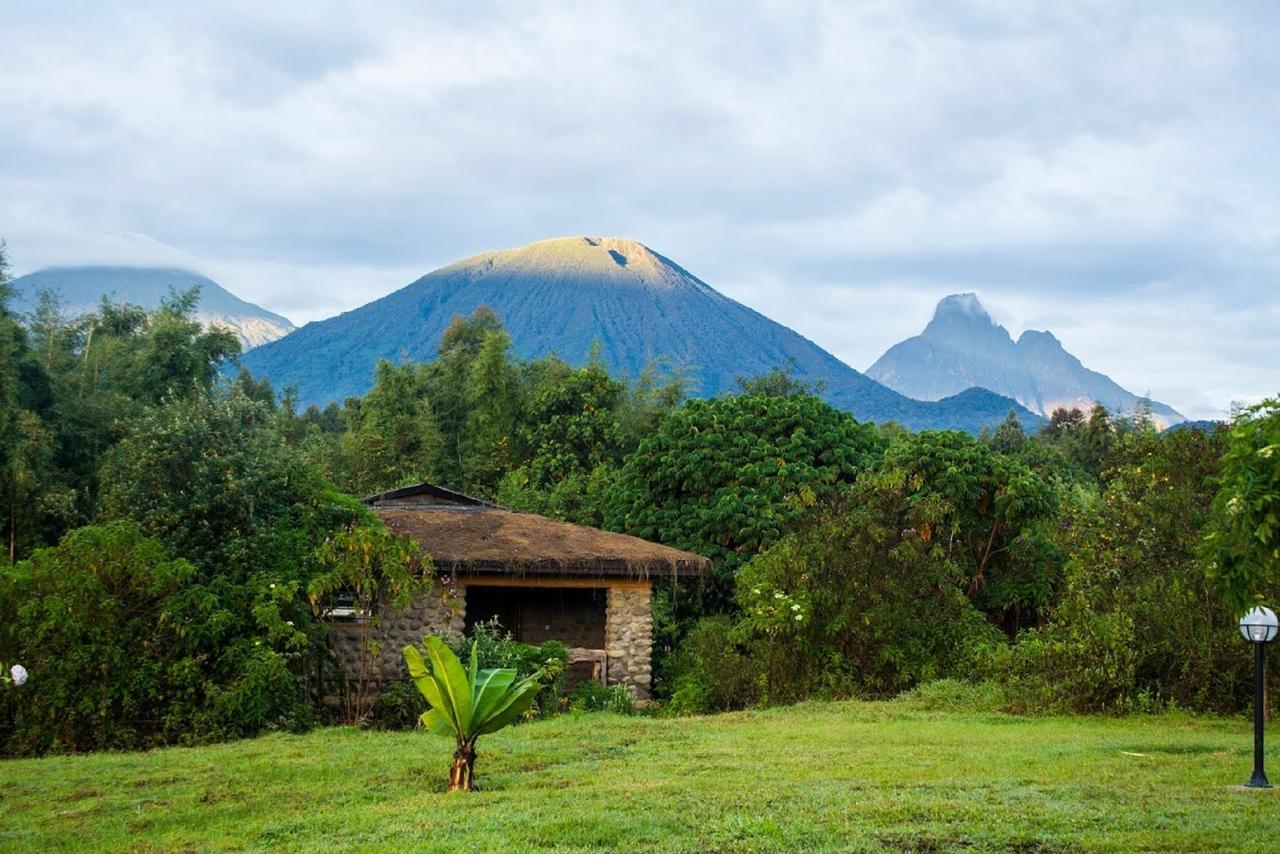 Mountain Gorilla View Lodge Musanze 객실 사진