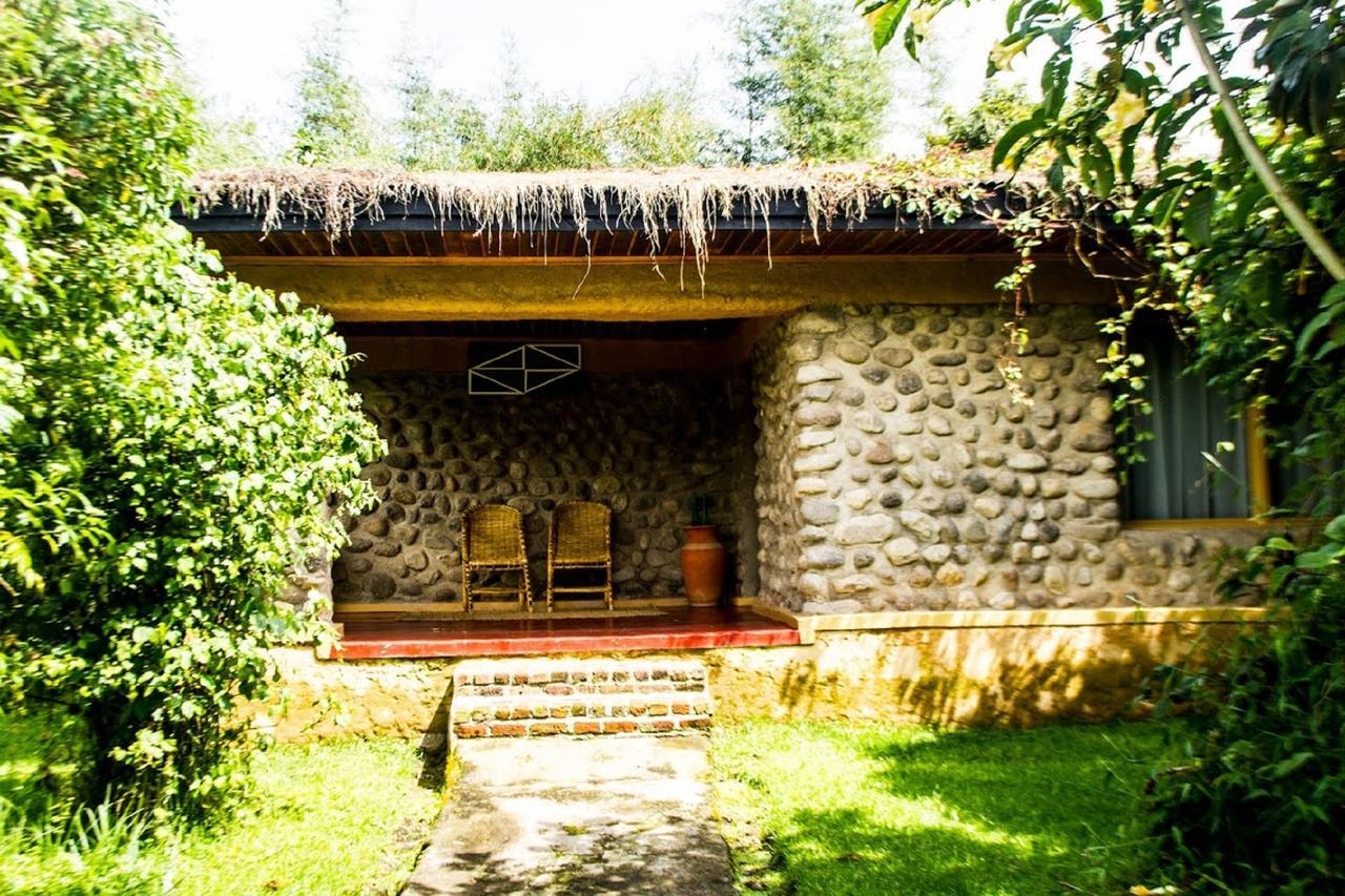 Mountain Gorilla View Lodge Musanze 객실 사진